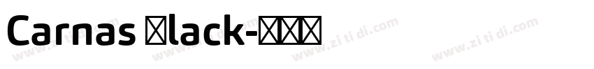 Carnas Black字体转换